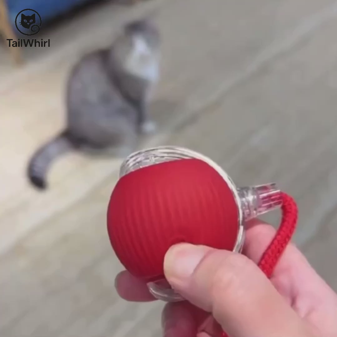 Interactive Pet Toy Ball – Motion-Activated Smart Roller for Cats & Dogs